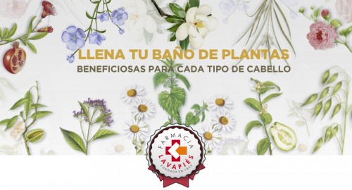 Plantas con beneficios para cada tipo de pelo. Promoción especial en Farmacia Lavapies de champús Klorane