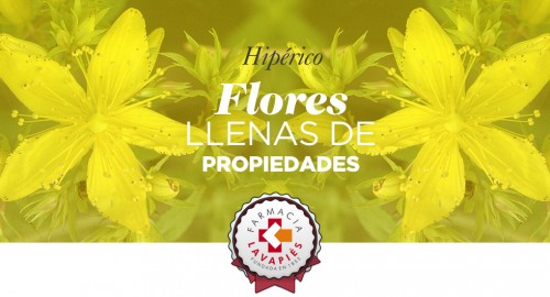 Propiedades y beneficios del aceite hiperico