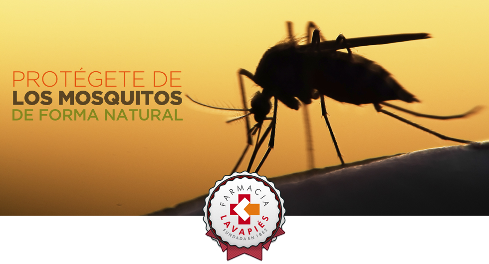 Protección antimosquitos de forma natural recomendadas por Farmacia Lavapies
