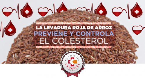 Controla y previene los niveles altos de colesterol con Arkosterol recomendado por Farmacia Lavapiés