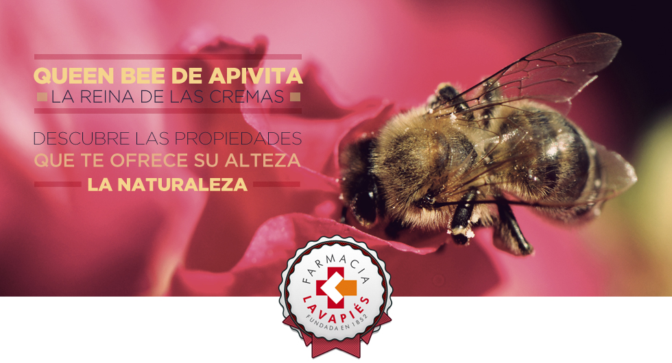 Nueva crema Queen Bee de Apivita mejorada y sus propiedades. Farmacia Lavapies